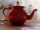Tea lovers